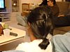 DSC06371.JPG