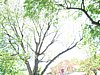 DSC04357.JPG