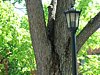 DSC04389.JPG